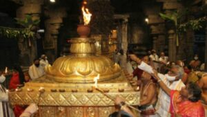 WhatsApp Image 2020-11-30 at 3.31.44 PM