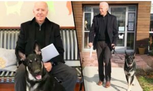 WhatsApp Image 2020-11-30 at 9.55.32 PM