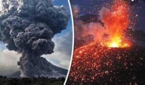 WhatsApp-Image-2020-11-30-at-3.14.45-PM