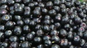 Screenshot_2020-12-18-21-12-06-806_com.whatsapp