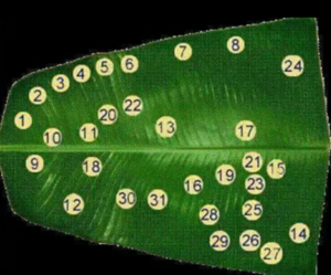 Screenshot_2020-12-22-08-36-13-676_com.whatsapp