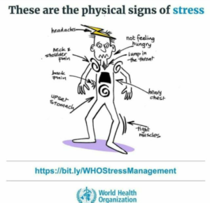 Screenshot_2020-12-29-09-11-42-741_com.whatsapp