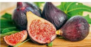 WhatsApp-Image-2020-12-02-at-8.36.18-PM