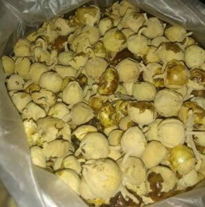 WhatsApp-Image-2020-12-06-at-5.10.06-PM