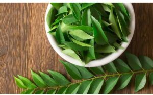 WhatsApp-Image-2020-12-08-at-8.53.57-AM