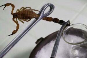 WhatsApp-Image-2020-12-10-at-9.54.54-PM