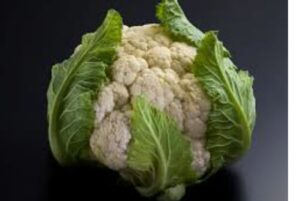 WhatsApp Image 2020-12-11 at 2.24.50 PM