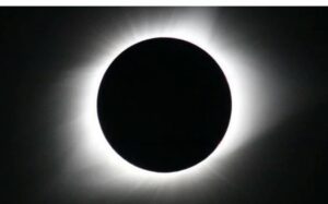 WhatsApp Image 2020-12-13 at 10.56.57 PM (1)