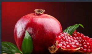 WhatsApp Image 2020-12-29 at 7.39.13 AM