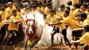 839168-jallikattu-competitions