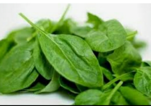 Screenshot_2021-01-02-15-41-48-130_com.whatsapp