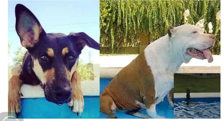 WhatsApp Image 2021-01-02 at 10.25.47 PM