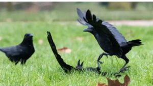 WhatsApp Image 2021-01-02 at 4.16.32 PM