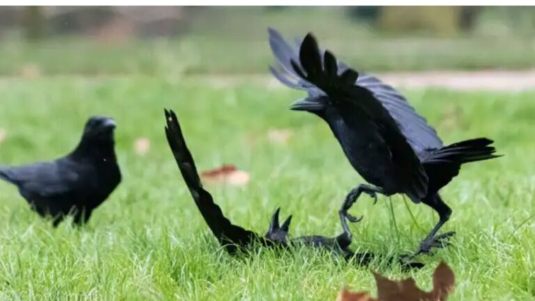 WhatsApp Image 2021-01-02 at 4.16.32 PM