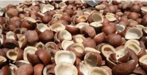 WhatsApp Image 2021-01-04 at 6.15.28 PM