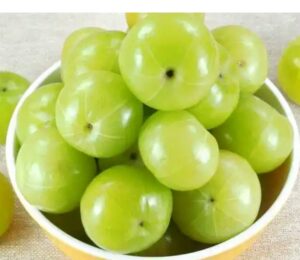 WhatsApp Image 2021-01-04 at 7.09.42 AM