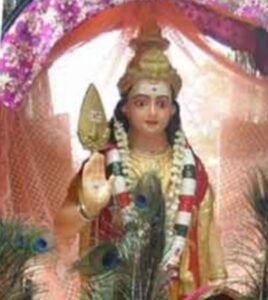 WhatsApp Image 2021-01-05 at 11.43.55 AM