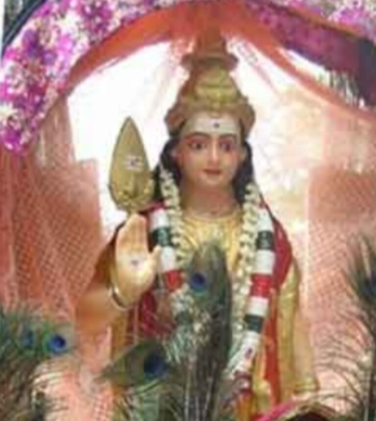 WhatsApp Image 2021-01-05 at 11.43.55 AM