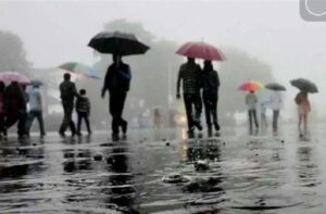 WhatsApp Image 2021-01-05 at 8.00.30 AM