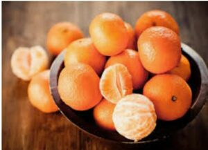 WhatsApp Image 2021-01-06 at 7.47.08 AM