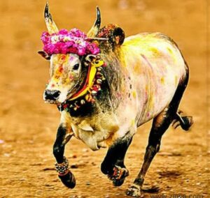 WhatsApp Image 2021-01-12 at 9.10.29 AM