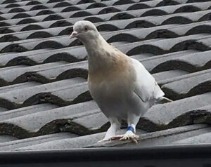 WhatsApp Image 2021-01-15 at 6.46.57 PM