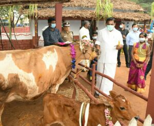 WhatsApp Image 2021-01-15 at 9.13.55 AM