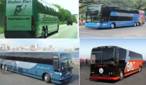 WhatsApp Image 2021-01-17 at 10.16.33 PM