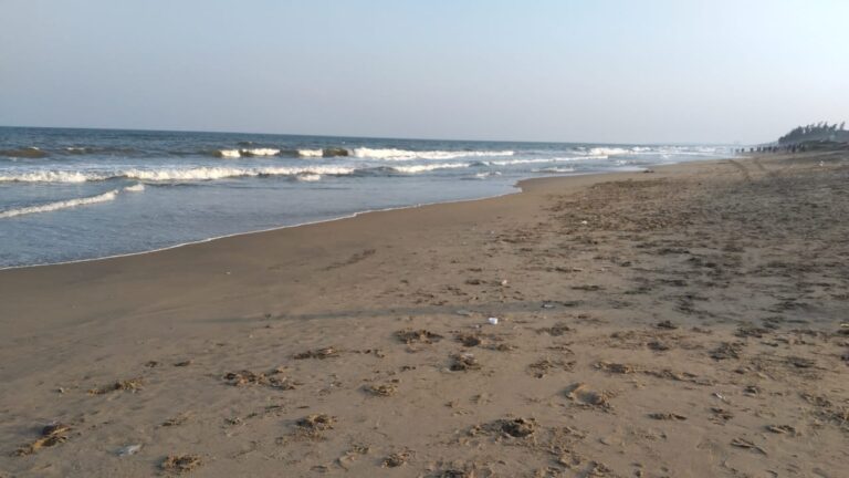 WhatsApp Image 2021-01-17 at 8.56.14 AM