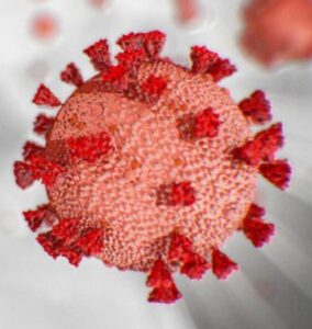 WhatsApp Image 2021-01-20 at 12.35.32 AM