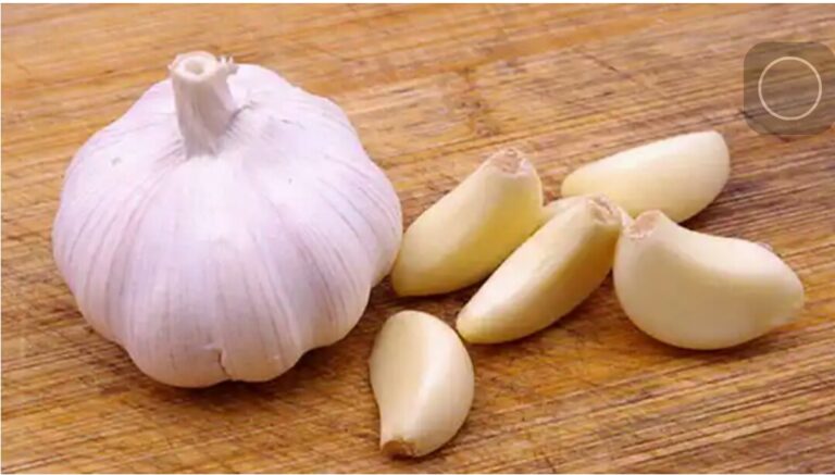 WhatsApp Image 2021-01-25 at 9.04.27 PM