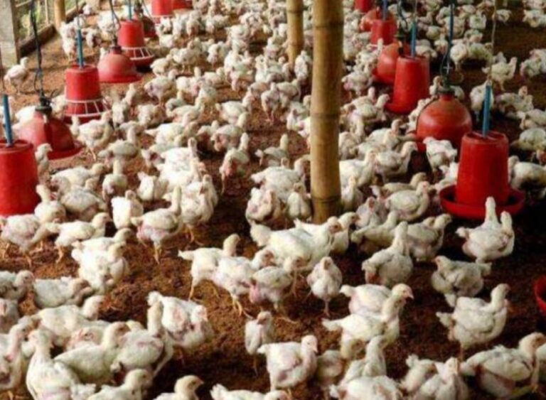 WhatsApp Image 2021-01-31 at 10.54.38 AM