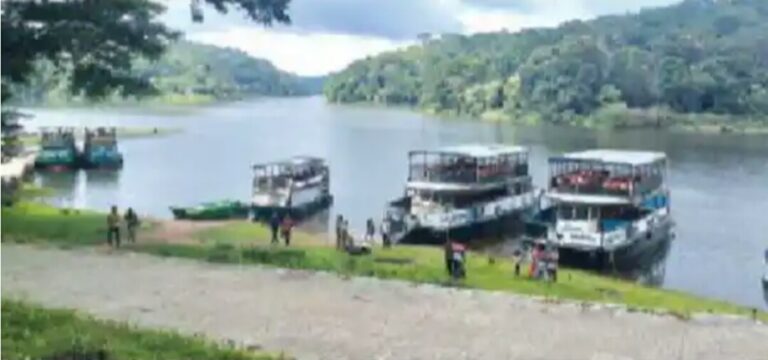 WhatsApp Image 2021-01-31 at 12.46.48 PM