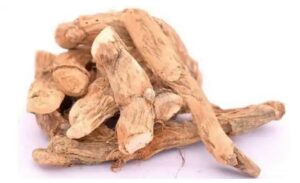 WhatsApp Image 2021-02-02 at 8.42.17 AM