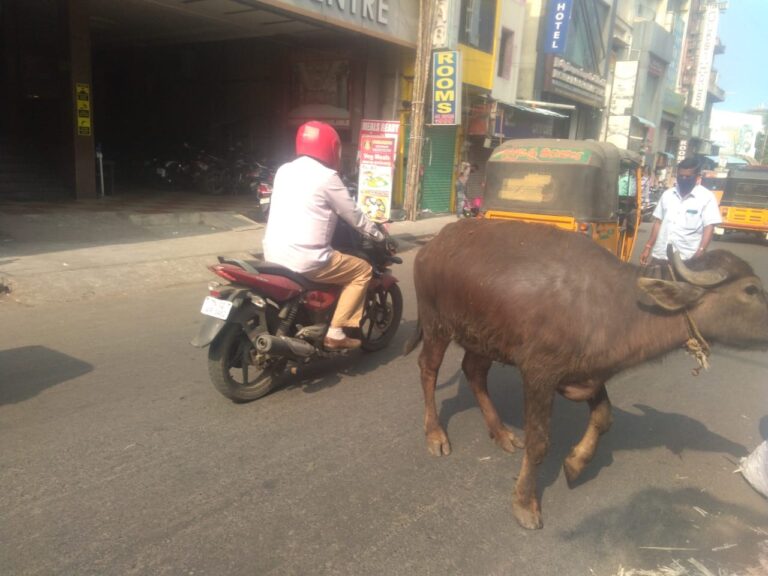 WhatsApp Image 2021-02-13 at 9.48.02 PM