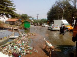 WhatsApp Image 2021-02-20 at 8.25.12 PM (1)