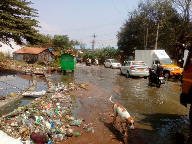 WhatsApp Image 2021-02-20 at 8.25.12 PM (1)