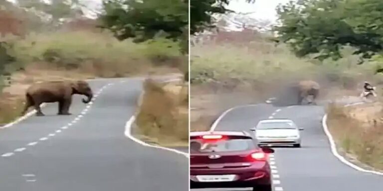 WhatsApp Image 2021-02-22 at 10.59.31 PM