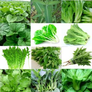 Different-types-of-Spinach