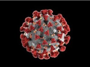 WhatsApp Image 2021-03-07 at 6.24.25 PM