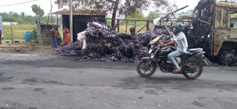 WhatsApp Image 2021-03-11 at 12.53.04 PM (1)