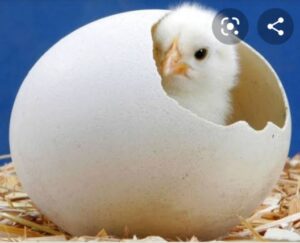 WhatsApp Image 2021-03-13 at 7.54.27 AM