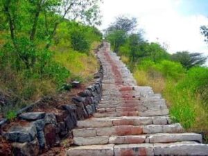 WhatsApp Image 2021-04-15 at 9.55.12 AM