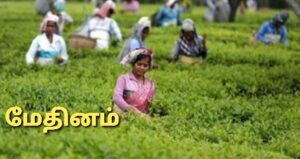 WhatsApp Image 2021-05-01 at 9.10.04 AM