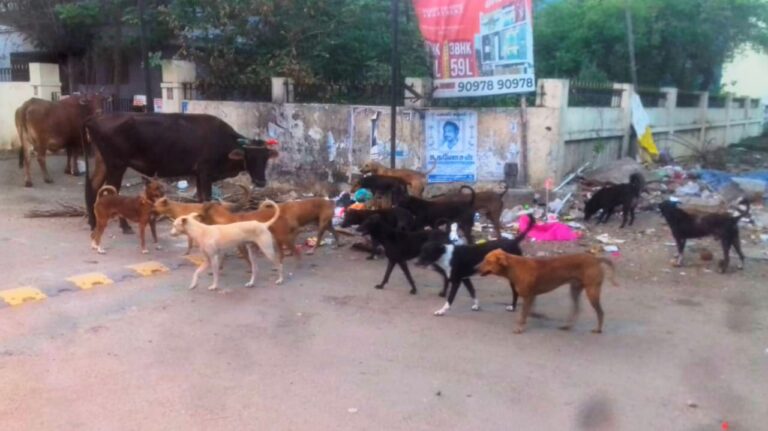 WhatsApp Image 2021-05-09 at 6.52.04 PM