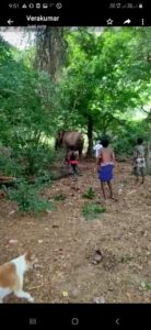 WhatsApp Image 2021-05-10 at 9.54.23 AM