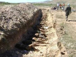 WhatsApp Image 2021-05-18 at 3.27.33 PM