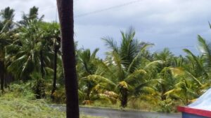 WhatsApp Image 2021-05-22 at 12.36.48 PM