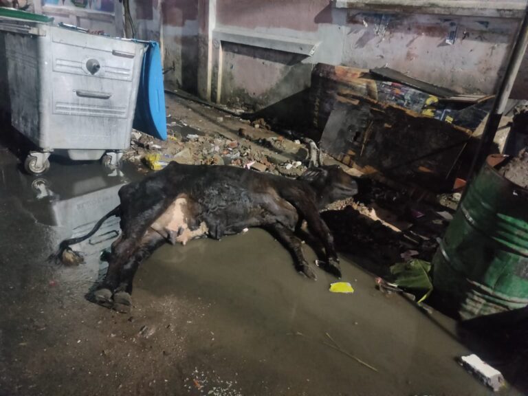 WhatsApp Image 2021-05-22 at 2.34.27 PM