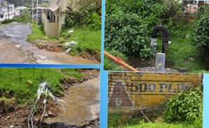 WhatsApp Image 2021-06-02 at 5.41.49 PM